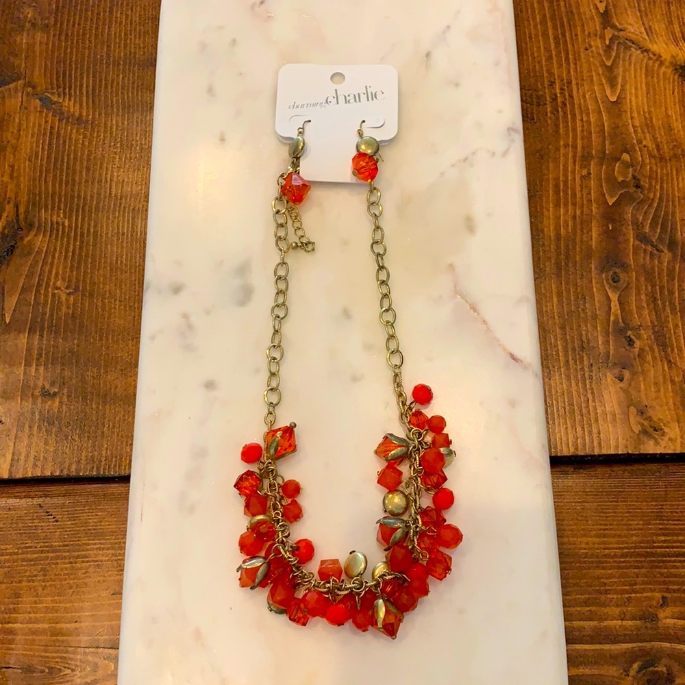Charming Charlie fashion jewelry